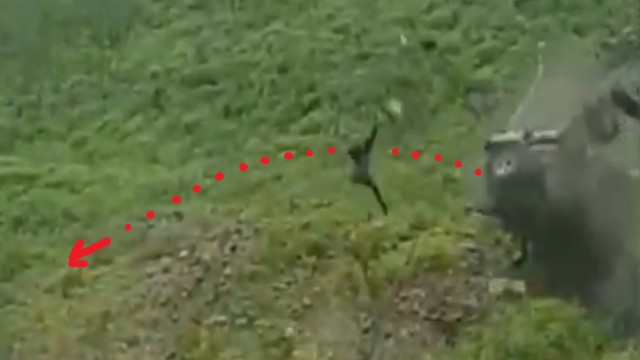Покатались? называется, экстремально... Говорят все живы