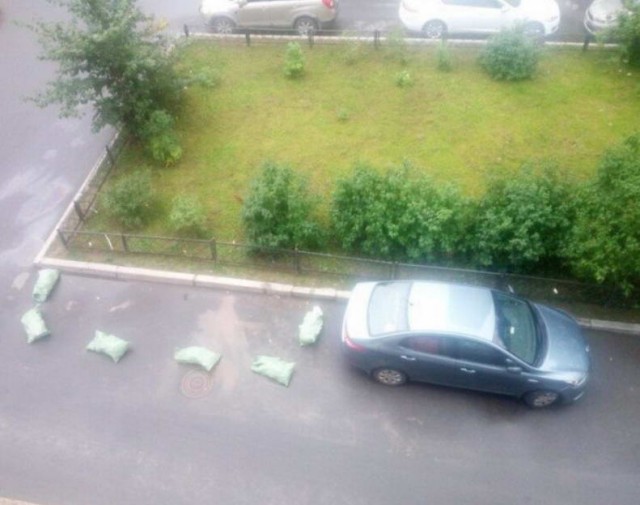 Шли по полю алкаши, или покорми меня гвоздиками, девочка с крыжовником