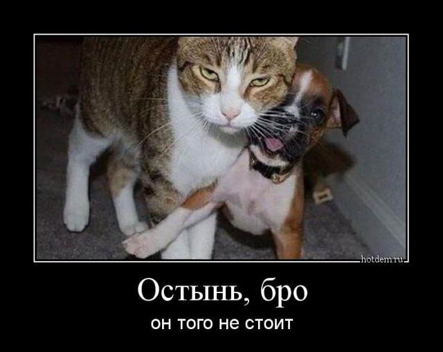 Вася, ты пьян, пошли домой