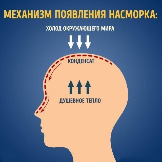 Немного картинок для настроения 09.12.19