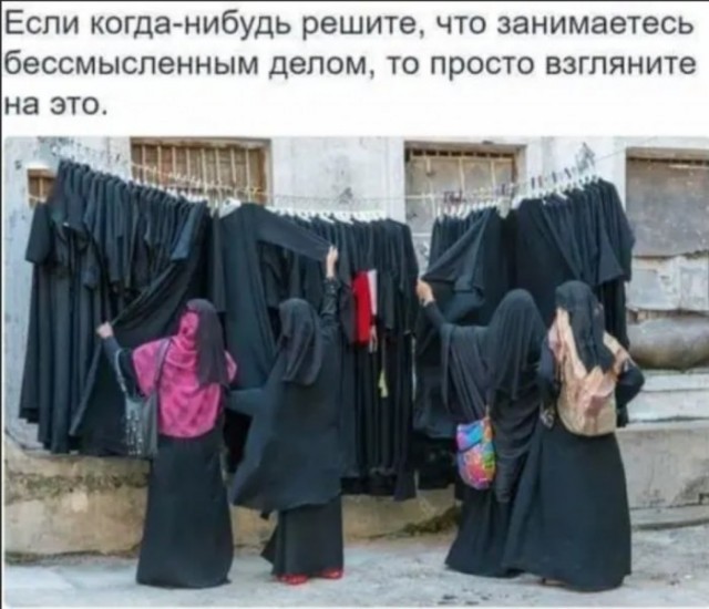Фотки и картинки: юморные и красивые, забавные и милые 13.10.20