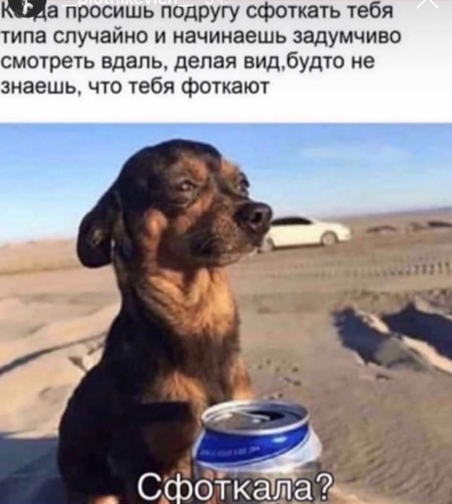 Разные картинки 01.02.2021