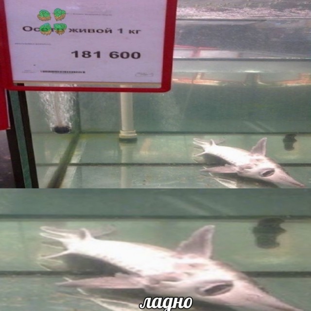 Весёлый полтишок 1.04