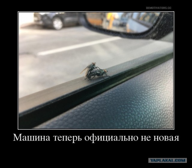 Насохранял