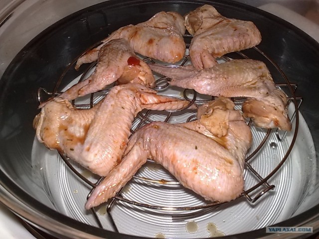 Ноги, хвосты… главное – крылья!, Кура-International–2, куриные крылья