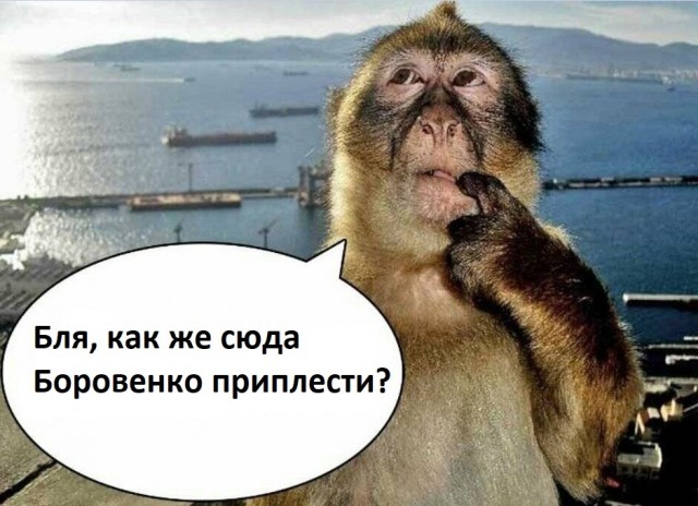 В Харькове поцриот залил перцем пенсионера, за куртку с надписью СССР