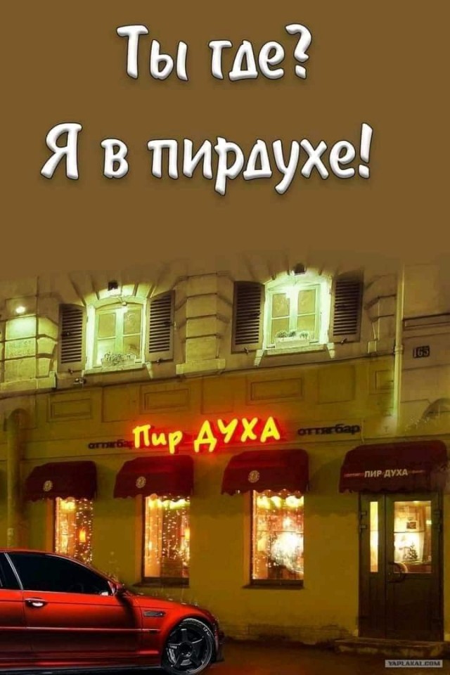 Всяческие картинки 19.11.2021