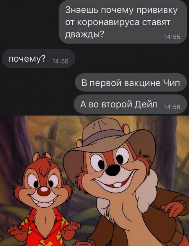 16255696.jpg