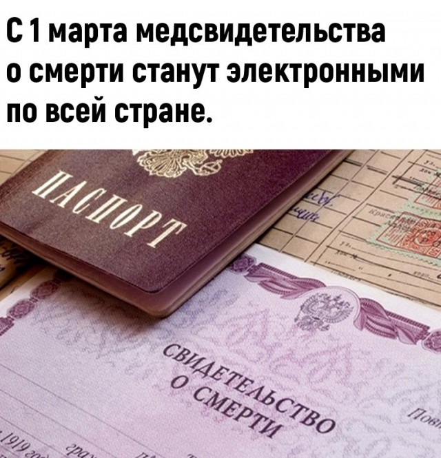 Так себе картинки 09.02.22