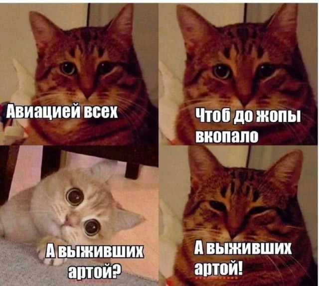 "Тюльпаны" прибыли.