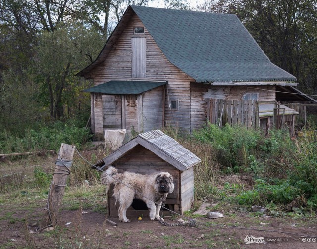 Интересные и редкие ретро-фотографии 11.04.22