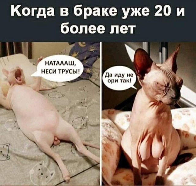 Весёлые картинки 13.04.2022