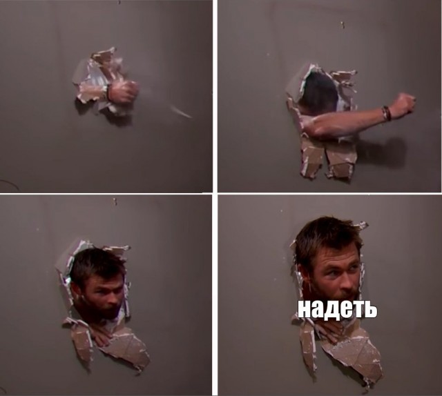 Совет дня. Если потерялись в лесу