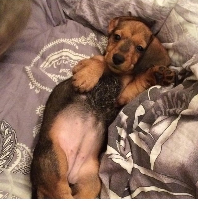 Главные проблемы современных мужчин РФ