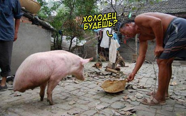 Картинки аморальные и всякие разные - 30