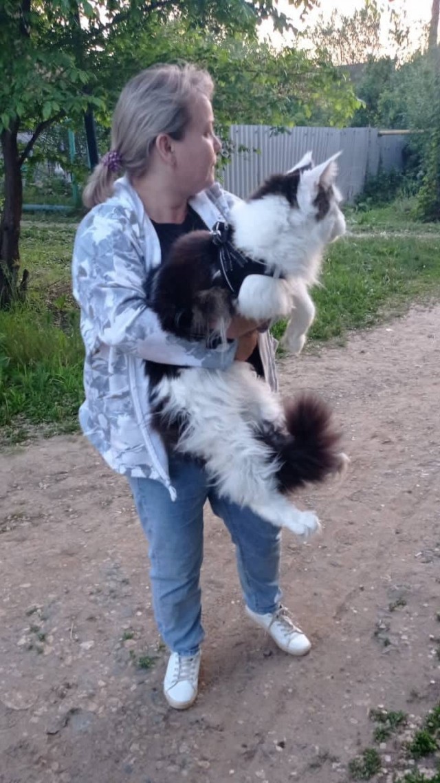 Именно то, что нужно в субботу - хороший кусь
