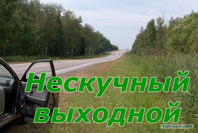 Нескучный выходной
