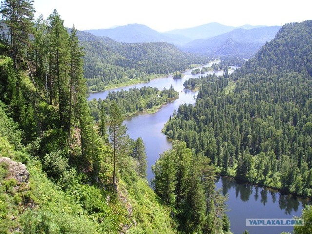 Калифорния.