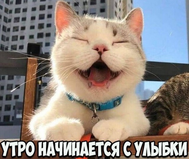 Прикольные и просто красивые картинки 13.10.2022