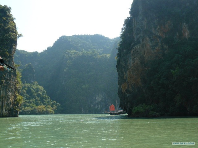 Немного Тая