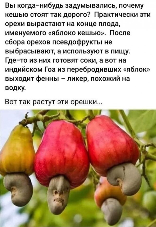 Картинки и мемы, всем хороших выходных