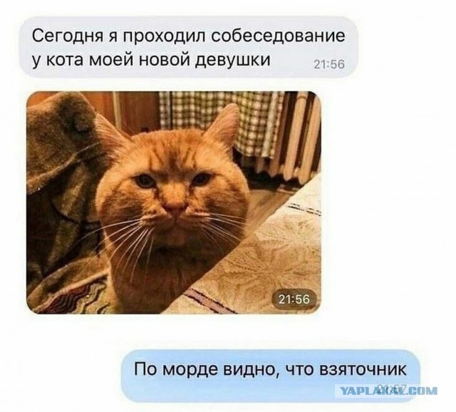 Забавные комментарии из социальных сетей (29.05.23)