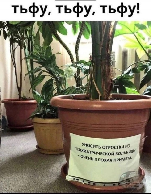 Так себе картинки 04.06.23