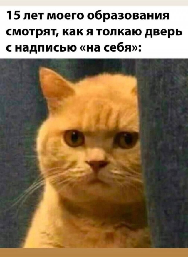 Отряд быстрого деградирования