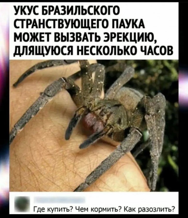 Какая смелая девушка..