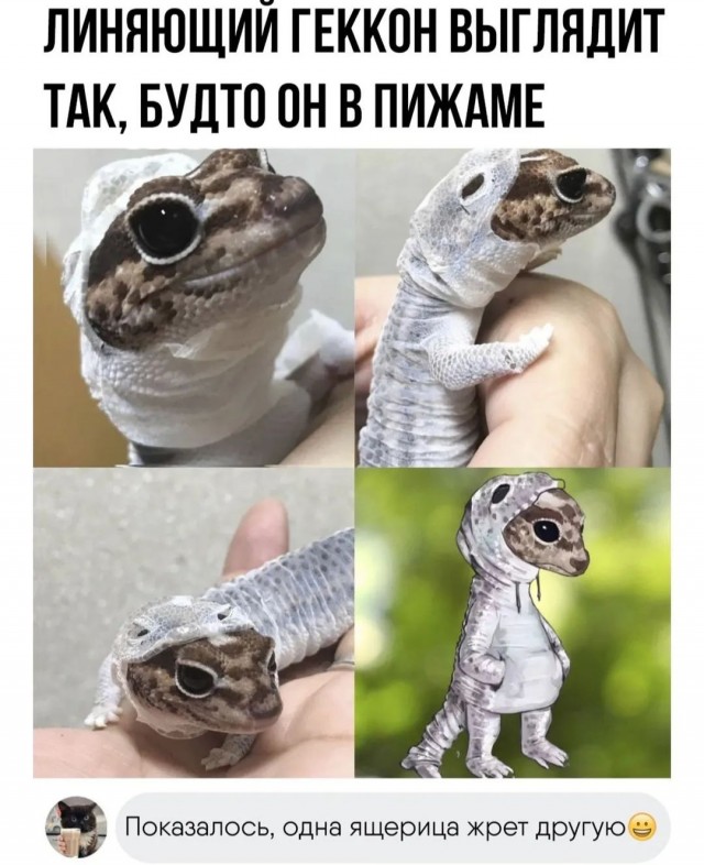 Завалялось тут случайно немного забавных картинок