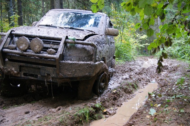 Котяра или На одну мечту меньше