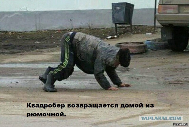 Про квадроберов. Размышления
