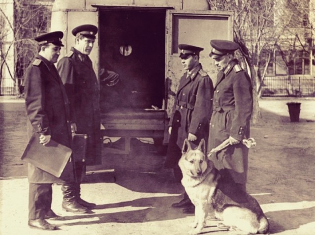 На скамье подсудимых 37 человек: шестеро из них получат по 15 лет каждый. Судебный процесс из СССР 1964 года