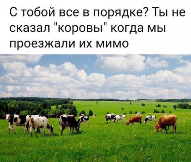 Веселые картинки в маленькую пятницу (28.05)