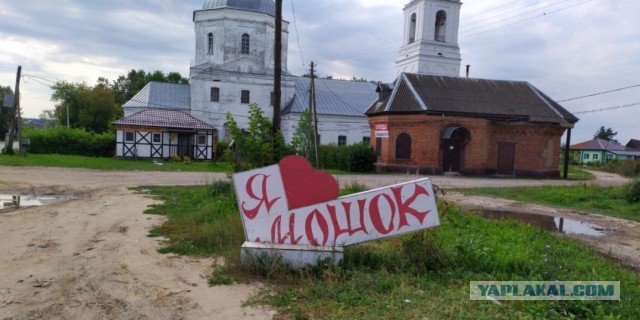 Садить или сажать?