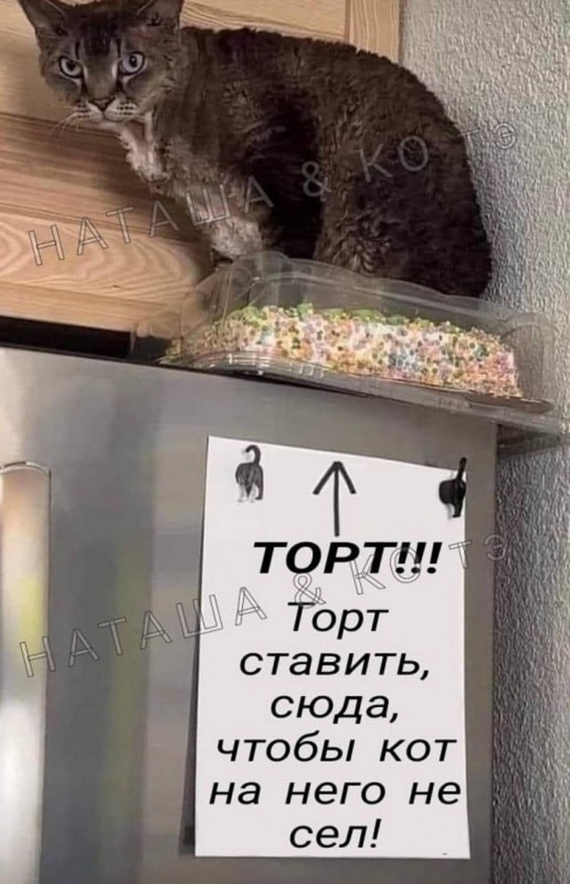 Маленькая пятница 10.09