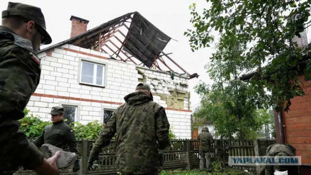 Сами себе злобные буратины?