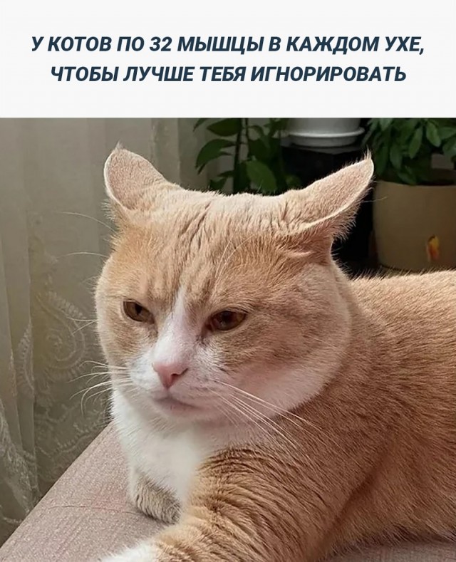 Так себе картинки 13.12.25