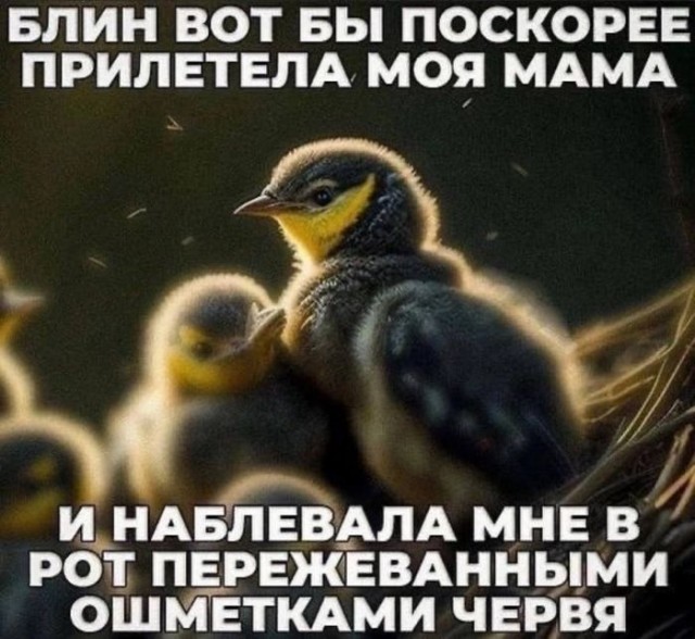 Картинки для деградации 106 (разной степени свежести)