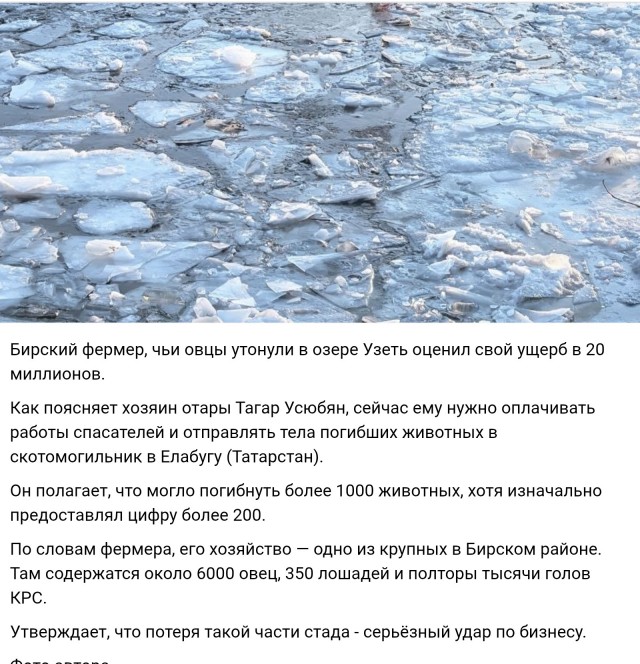 Мудрые слова опытного инвестора