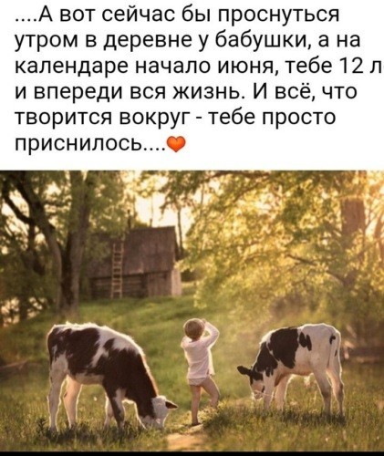 Вот в  чем счастье?