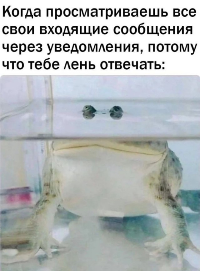 Картинки для деградации 185 (разной степени свежести)