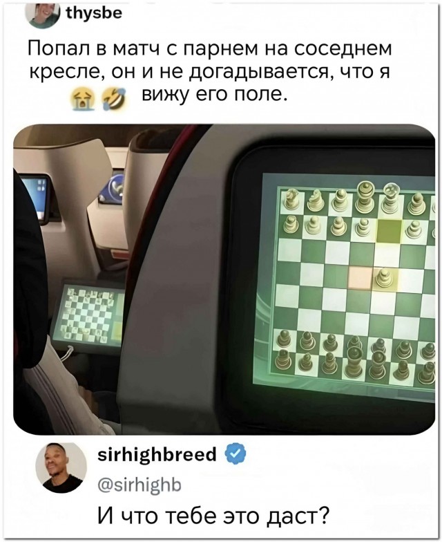 Шахматы⁠