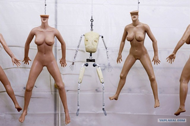 Куклы “real Dolls” и их владельцы