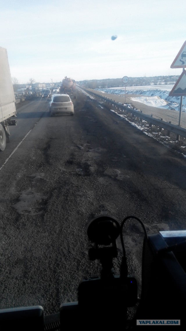 Озеленение Владивостока.