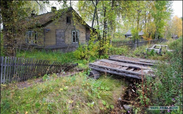 Заброшенная колония в Архангельской обл.