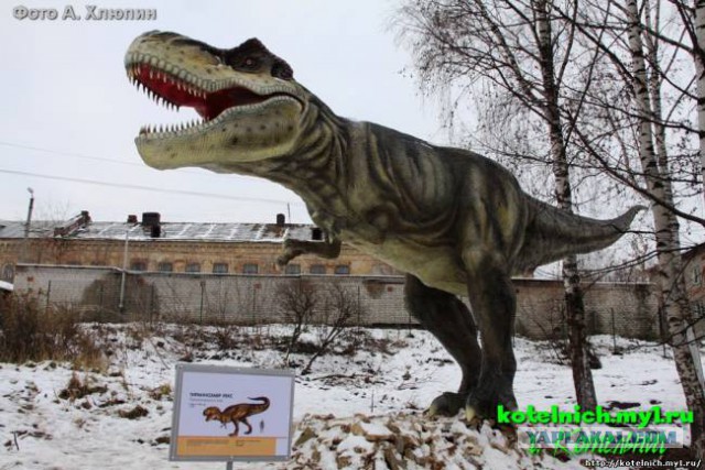 Тамбовский волк тебе товарищ...