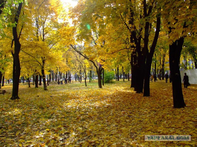 Донецк 2013