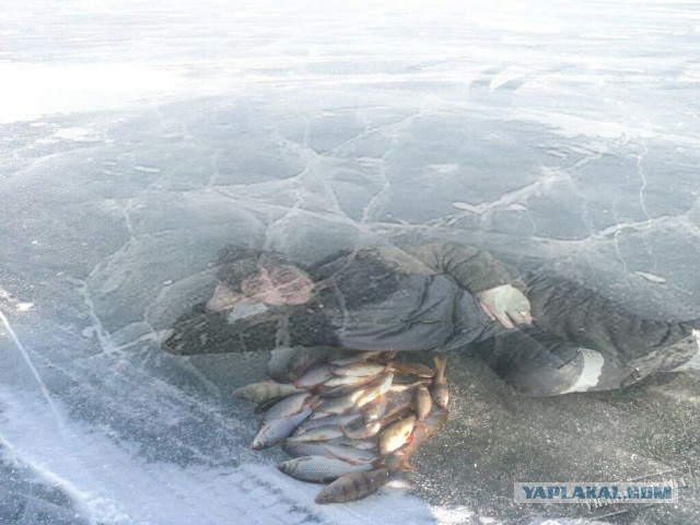 Отфотошопьте моё фото...