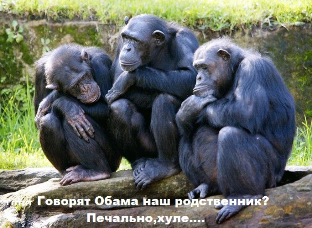 Обама продлил санкции в отношении России на год